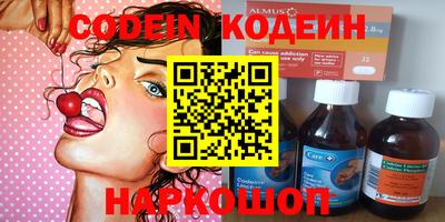 молекула духа Кингисепп