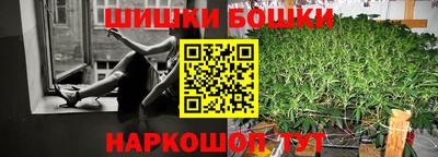 молекула духа Кингисепп