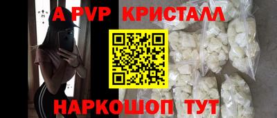 молекула духа Кингисепп