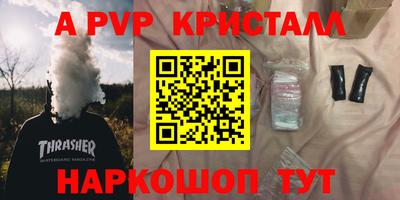 молекула духа Кингисепп