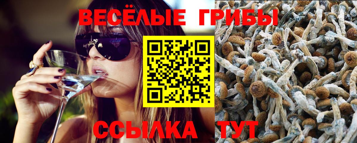 Псилоцибиновые грибы ЛСД  Вход с VPN  Галлюциногенные грибы Cubensis  Алапаевск 